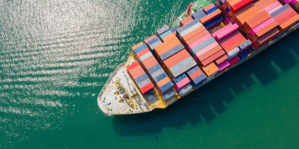 Export & Import